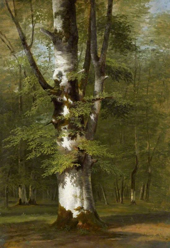 Studio di albero - National Galleries of Scotland
